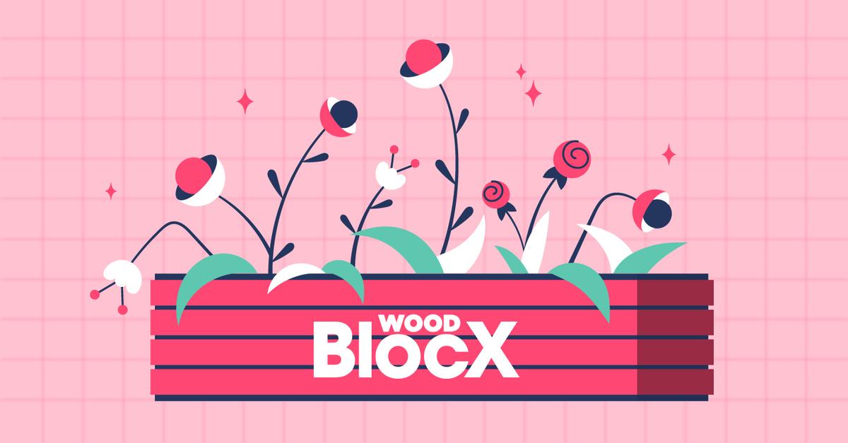 Featured image: Garden box retailer WoodBlocX overcomes setbacks to build a thriving e-commerce business